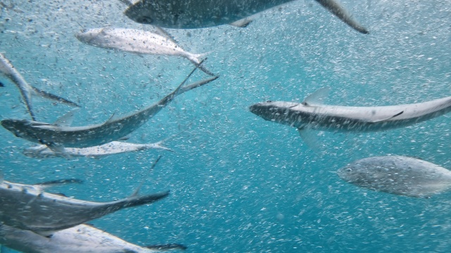 ../images/fotoalbum/lanzarote23/2023-09-14 13.16.07